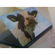 Cows head laptop skin